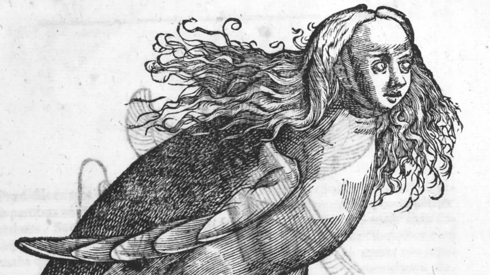 Ulisse Aldrovandi: el naturalista que catalogó dragones junto a especies reales