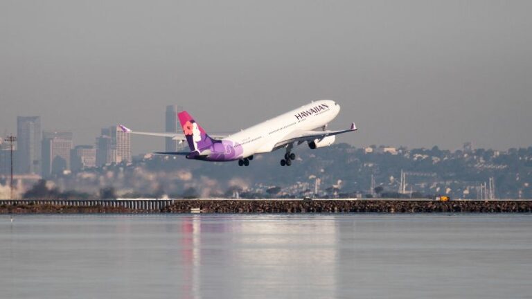 cybercriminal-group-targets-u-s-airlines-amid-travel-surge