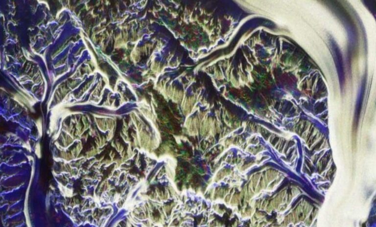esa-s-biomass-satellite-unveils-earth-s-hidden-ecosystems