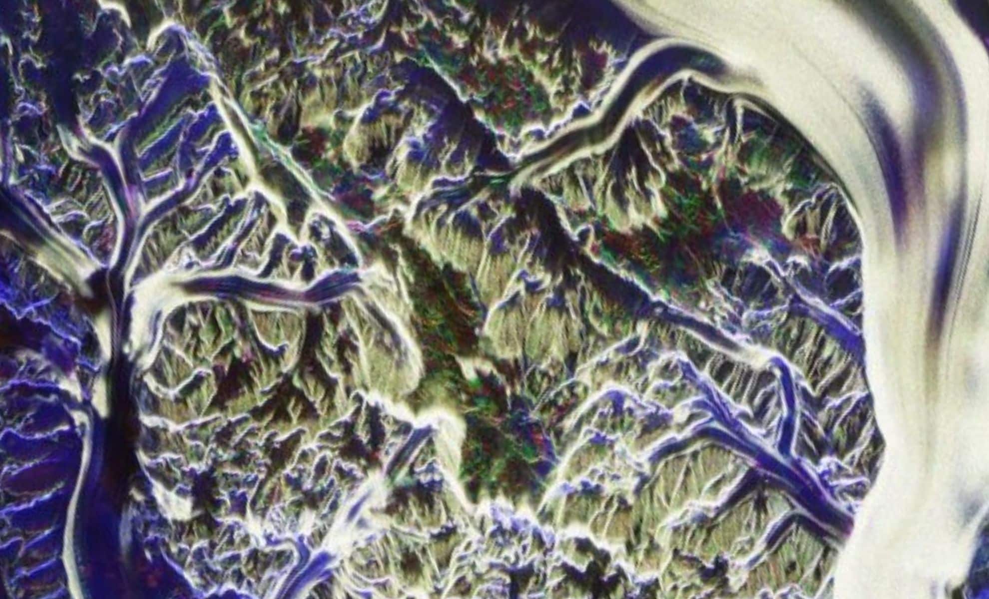 ESA’s Biomass Satellite Unveils Earth’s Hidden Ecosystems