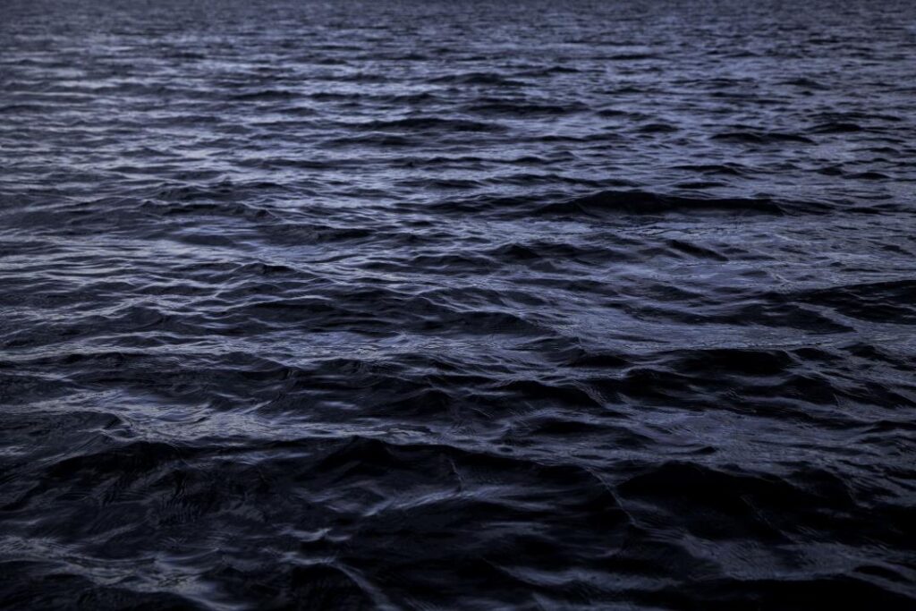 ocean-darkening-threatens-marine-ecosystems-and-global-health