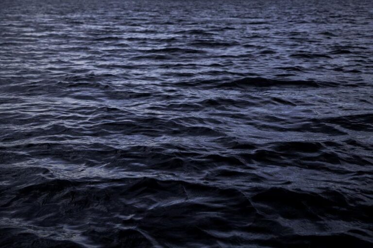 ocean-darkening-threatens-marine-ecosystems-and-global-health