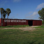 trump-s-border-policies-sow-fear-among-farm-workers