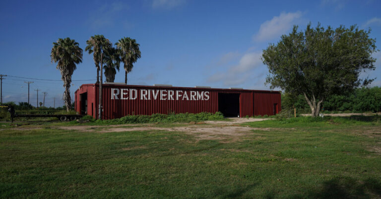 trump-s-border-policies-sow-fear-among-farm-workers