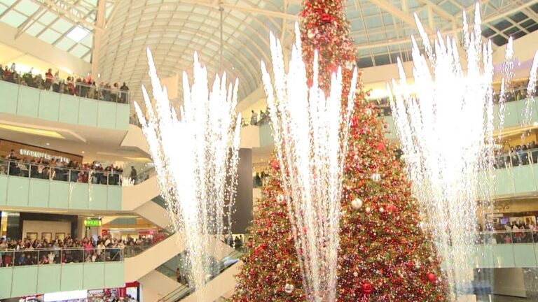 two-north-texas-malls-among-top-u-s-shopping-destinations