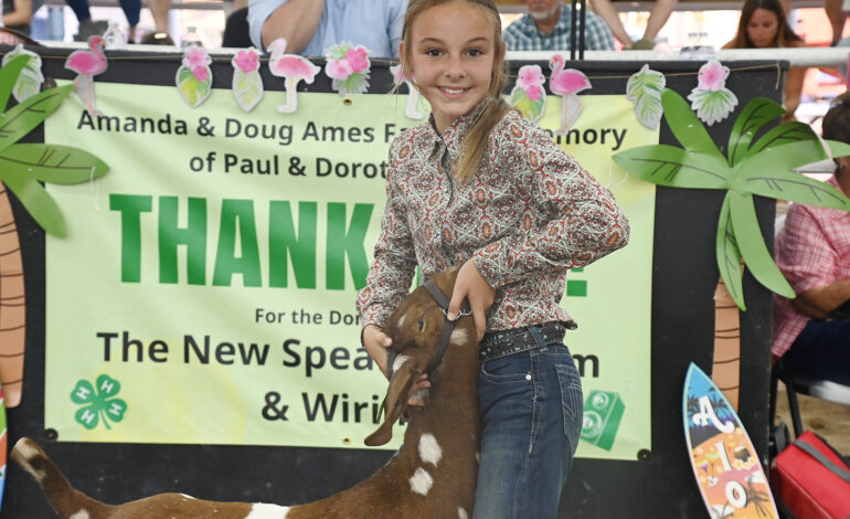 Allen County Fair Concludes with Record Livestock Auction Bids