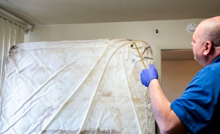 Ann Arbor Faces Bedbug Surge as Infestations Multiply Rapidly