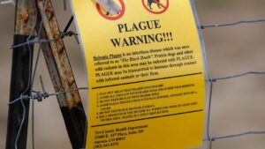 arizona-reports-first-pneumonic-plague-death-in-two-decades