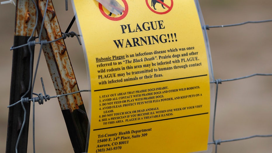 arizona-reports-first-pneumonic-plague-death-in-two-decades