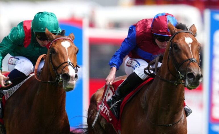 Calandagan and Jan Brueghel Set for King George Showdown at Ascot