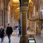 colossal-biosciences-targets-moa-for-de-extinction-efforts