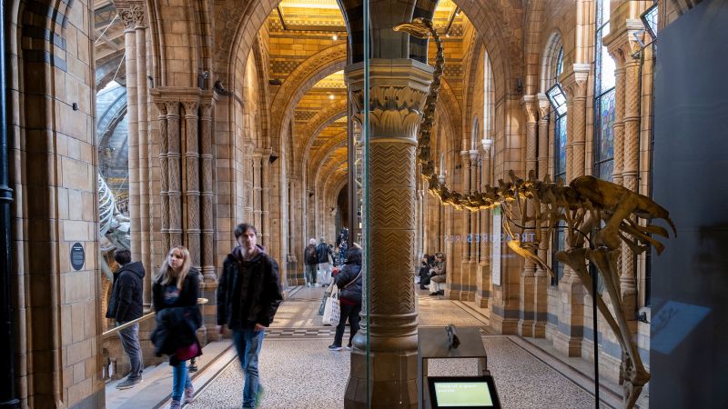 colossal-biosciences-targets-moa-for-de-extinction-efforts