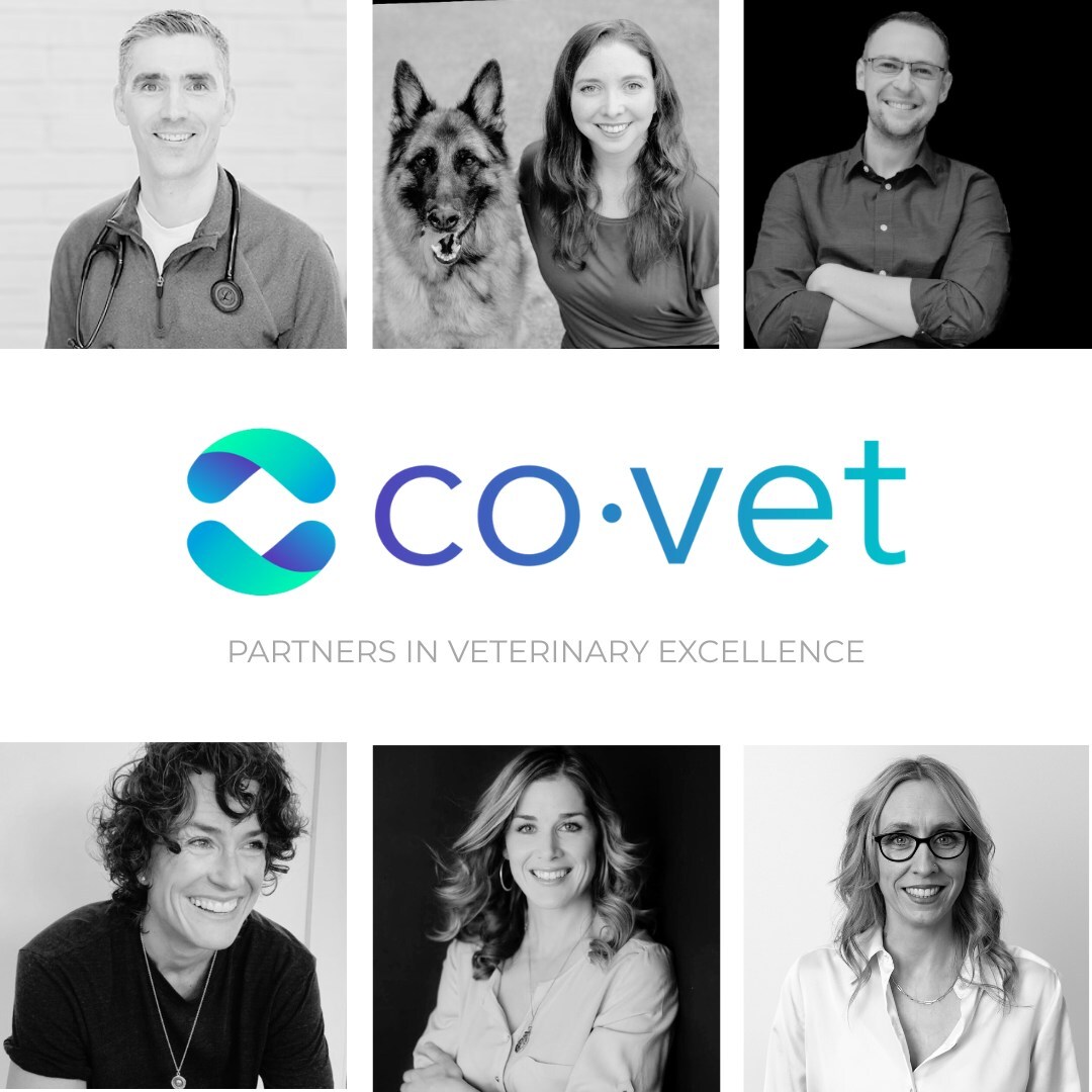 CoVet Launches Medical Department to Enhance Veterinary AI Solutions