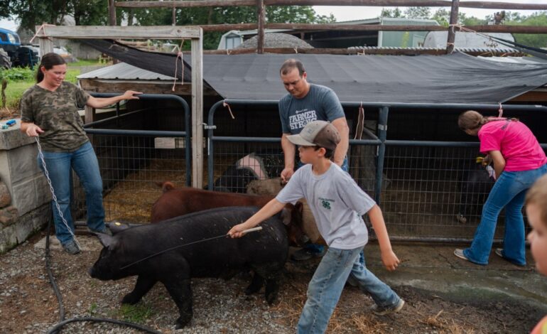 Evergreen Acres Prepares for Schuylkill County Fair Amid Excitement