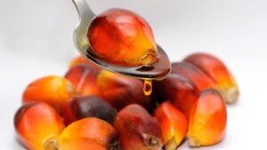 exploring-the-health-benefits-of-tocotrienols-in-palm-oil