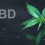 fda-study-reveals-cbd-can-elevate-liver-enzymes-in-adults
