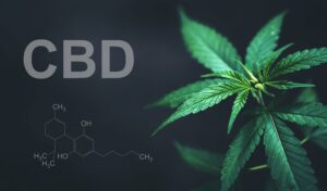 fda-study-reveals-cbd-can-elevate-liver-enzymes-in-adults