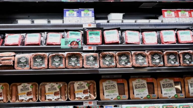 global-meat-consumption-a-growing-environmental-concern-and-solutions