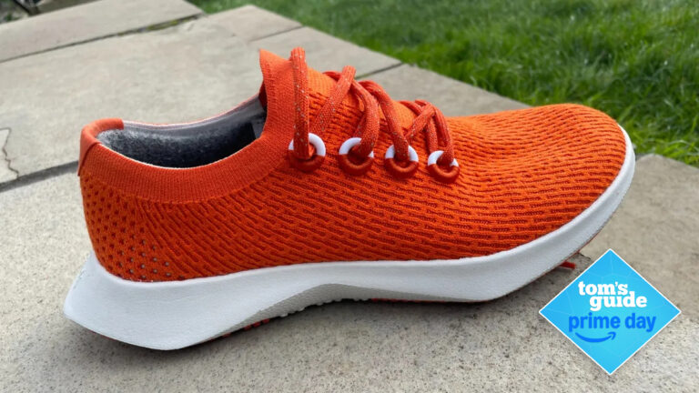 grab-the-allbirds-tree-dasher-2-sneakers-for-under-70-today