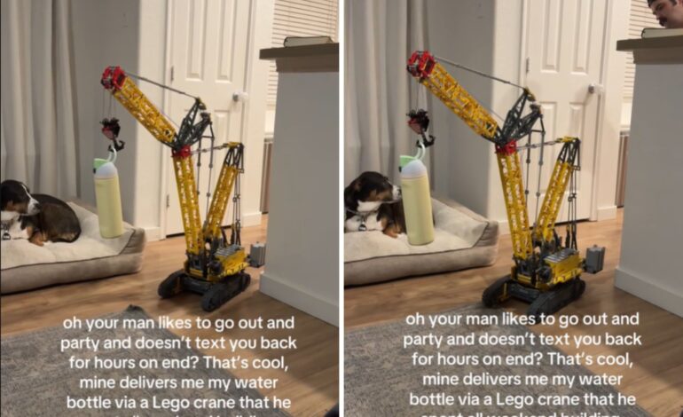 Husband Shocks Wife with Lego Crane Delivery After Cancer Recovery
