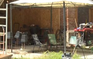 italian-ghost-children-found-in-woods-a-family-s-isolation-unveiled