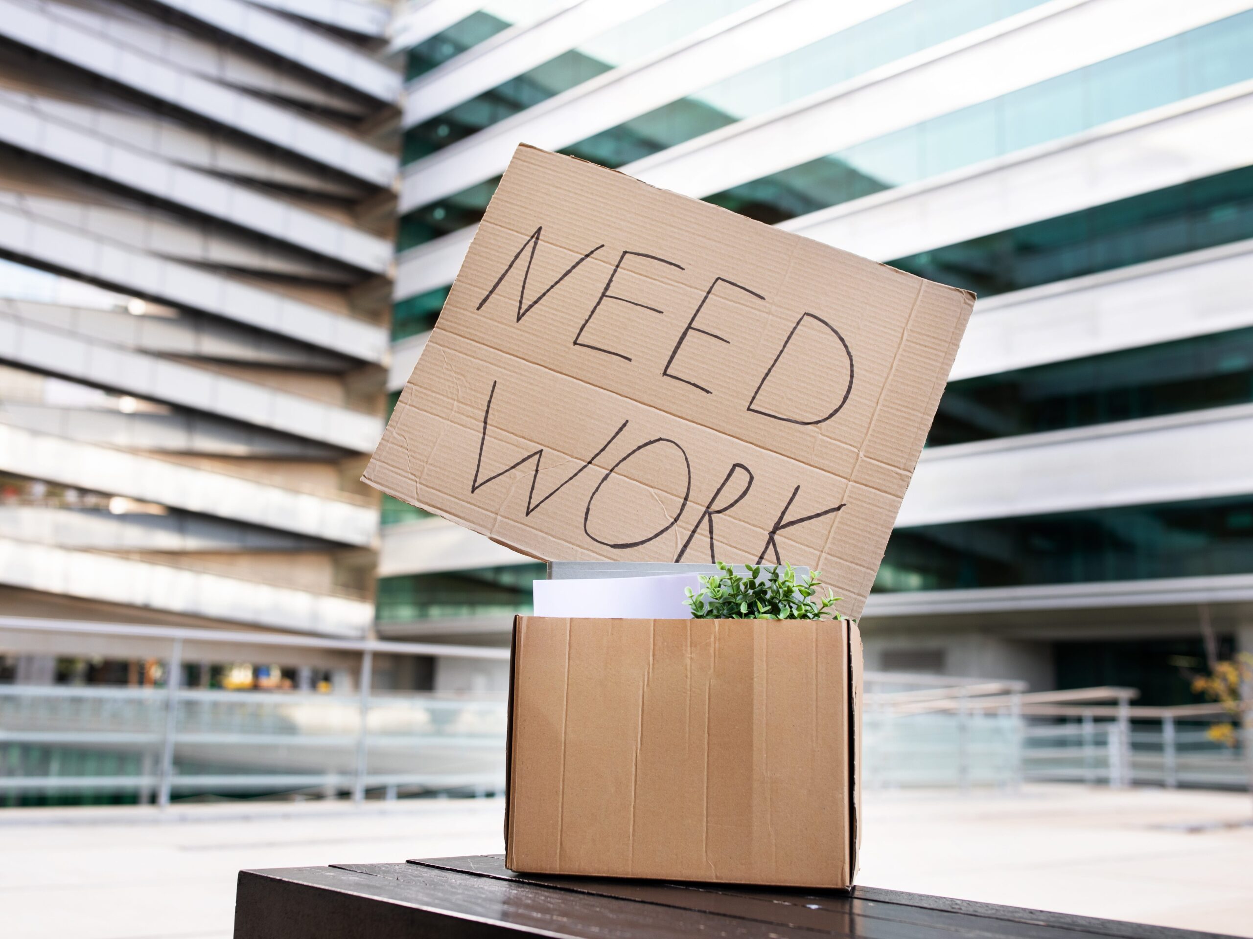Job Market Crisis: Career Coach Reveals Urgent Job Search Tips