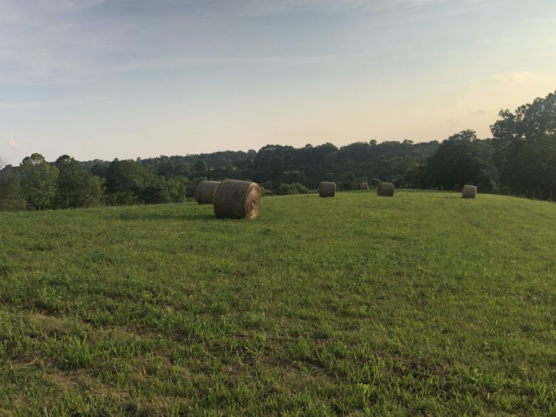Kenton County Residents Rally Against Industrial Development Plan