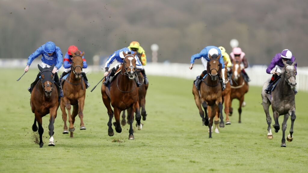khafiz-and-patricia-r-set-to-clash-in-thrilling-doncaster-race