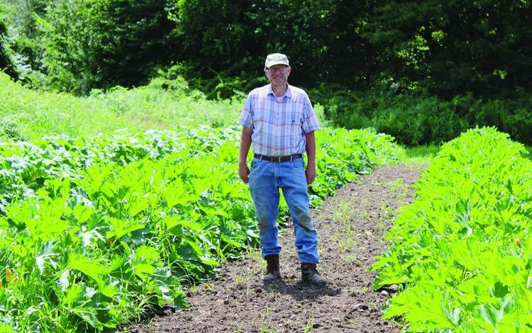 Local Farm’s Rich Legacy Thrives Amid Urgent Food Insecurity