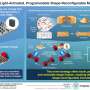 magnetic-micropillars-revolutionize-shape-control-with-uv-light