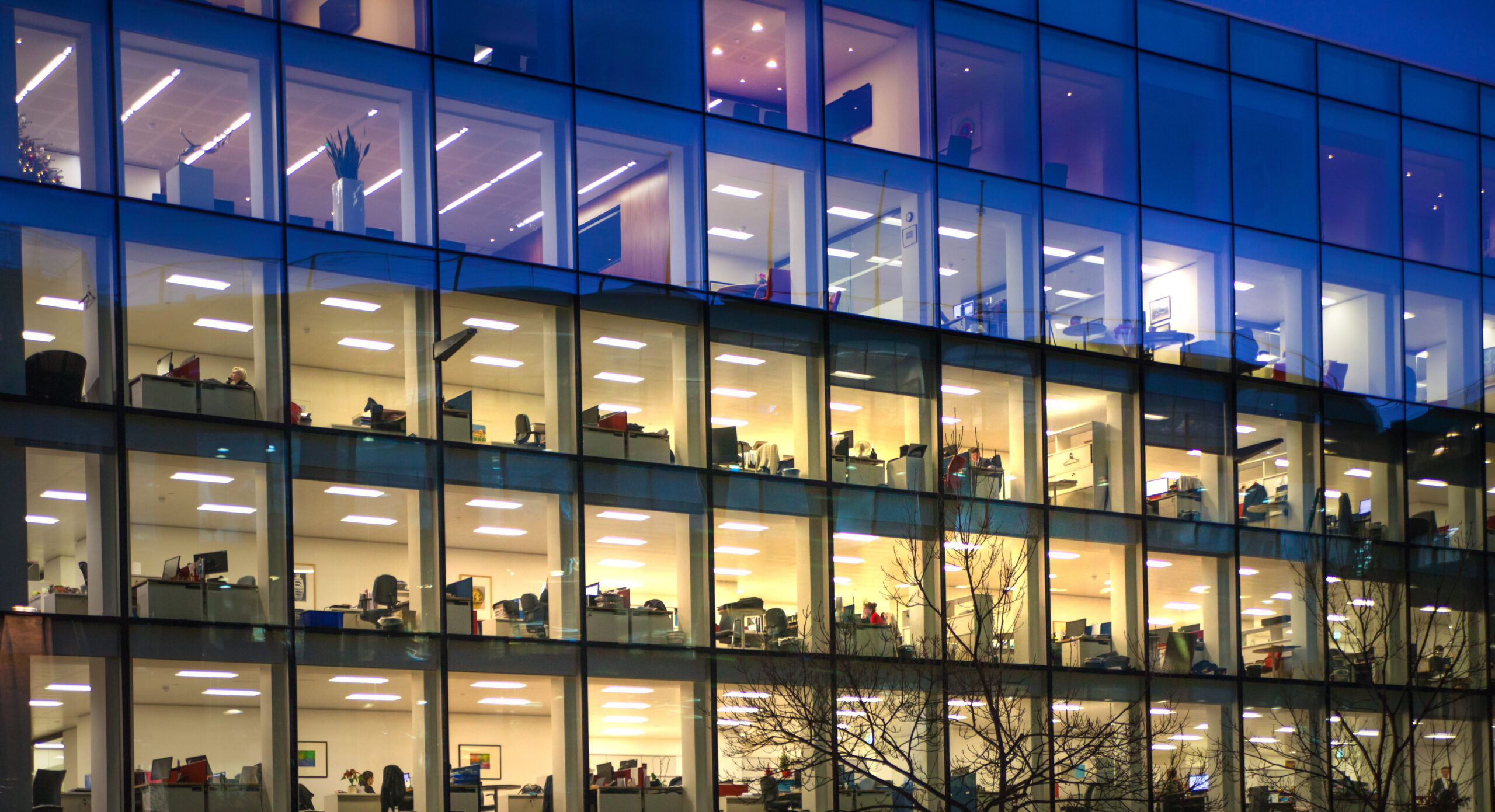 Major Executives Warn of AI’s Impact on White-Collar Jobs