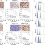 new-drug-shows-promise-against-nasopharyngeal-carcinoma