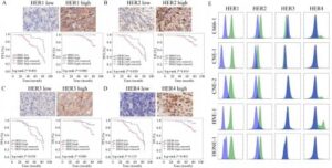 new-drug-shows-promise-against-nasopharyngeal-carcinoma