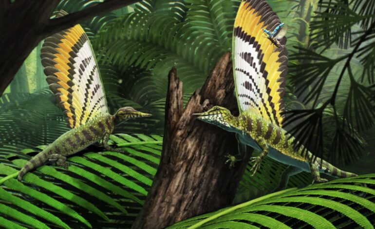 New Study Reveals Communication Role of Ancient Reptile’s Back Fin