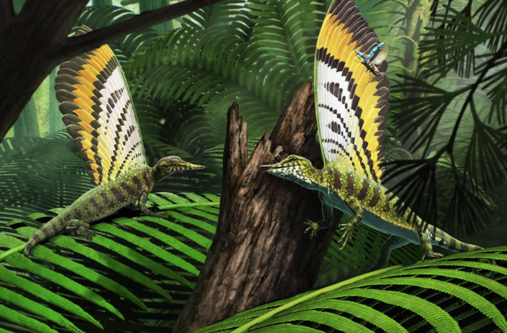 New Study Reveals Communication Role of Ancient Reptile’s Back Fin
