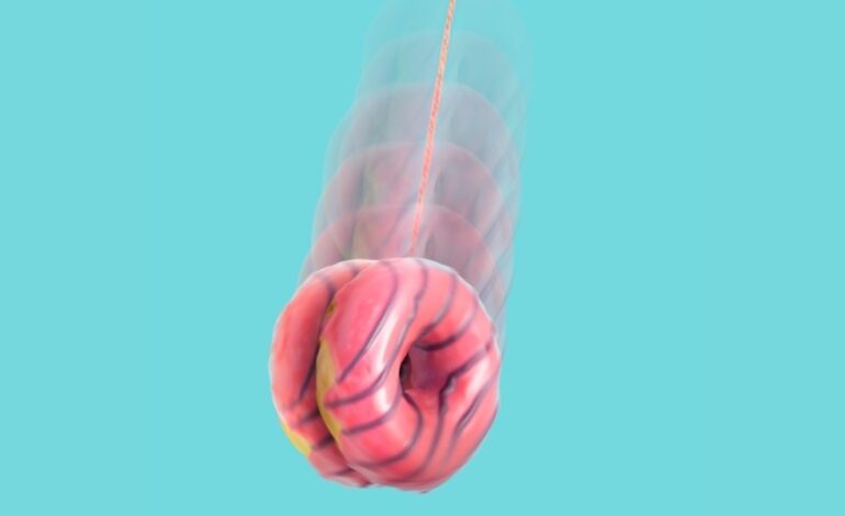 New Study Reveals Fad Diets May Rewire Your Brain’s Cravings