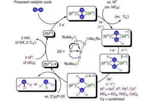 new-uranium-catalyst-transforms-air-nitrogen-into-ammonia-efficiently