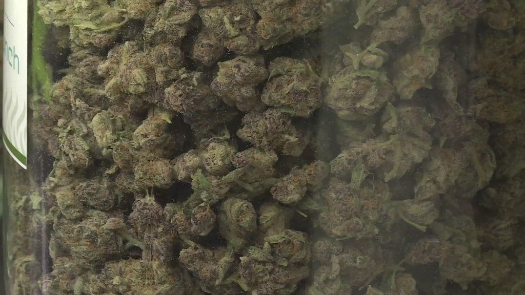 Over 100 NY Pot Shops Face Closure Due to State Miscalculation