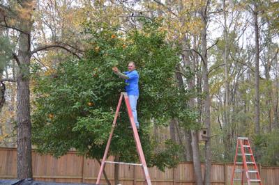 Readers Celebrate Fruit Trees in Weekly Photo Contest