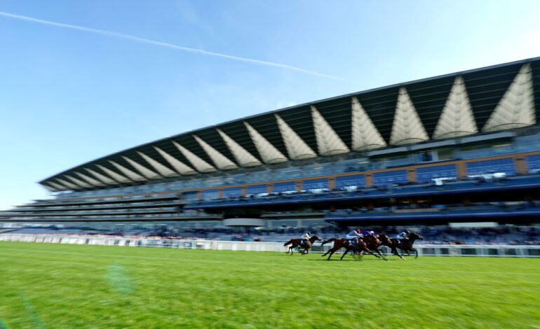 Reciprocated and Tricky Tel Face Off in Ascot Showdown