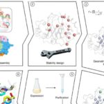 researchers-create-high-efficiency-enzymes-using-advanced-computation