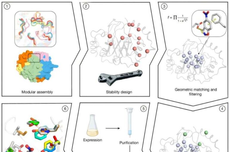 researchers-create-high-efficiency-enzymes-using-advanced-computation