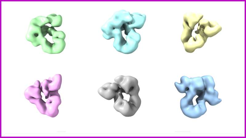 researchers-uncover-key-protein-folding-mechanism-in-cells