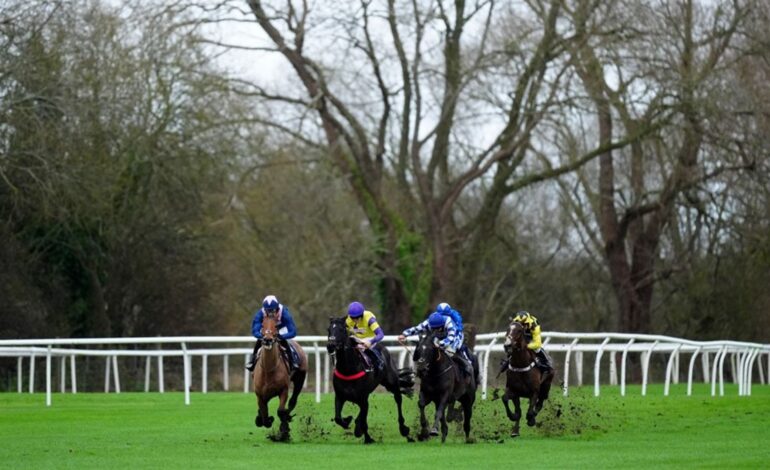 Saint Bibiana Aims for Fourth Consecutive Win at Uttoxeter