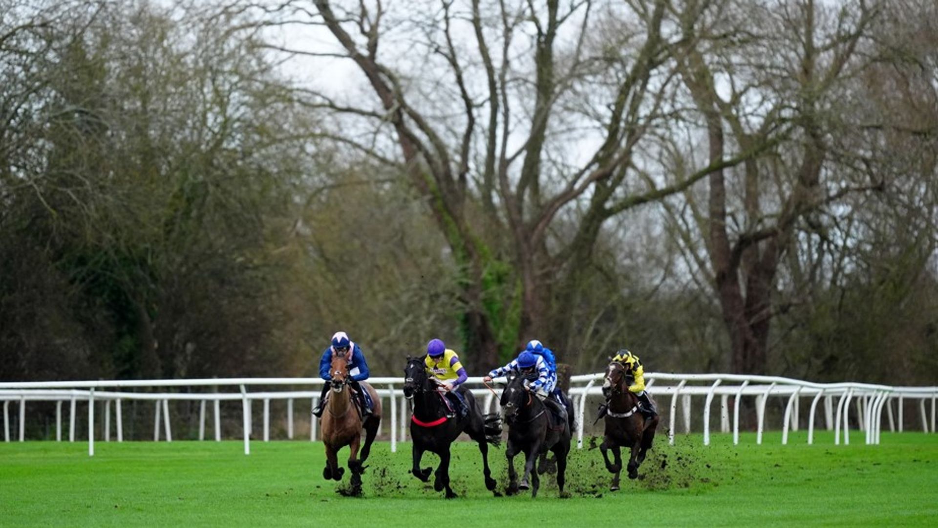 Saint Bibiana Aims for Fourth Consecutive Win at Uttoxeter