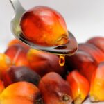scientists-uncover-health-benefits-of-tocotrienols-in-palm-oil