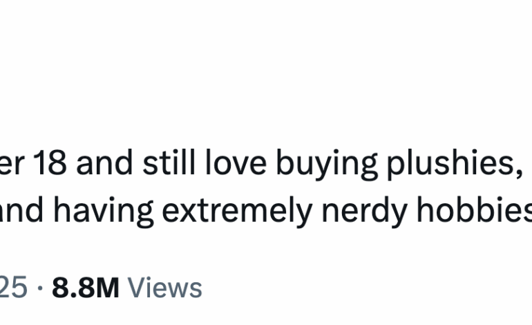 Social Media Celebrates Adult Nerdy Hobbies After Viral Tweet