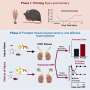 Study Reveals How Past Injuries Shape Future Stress Responses