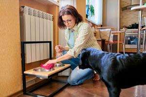 survey-reveals-pet-owners-shift-life-choices-for-their-dogs
