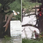 texas-floods-woman-rescued-after-being-swept-20-miles-downriver